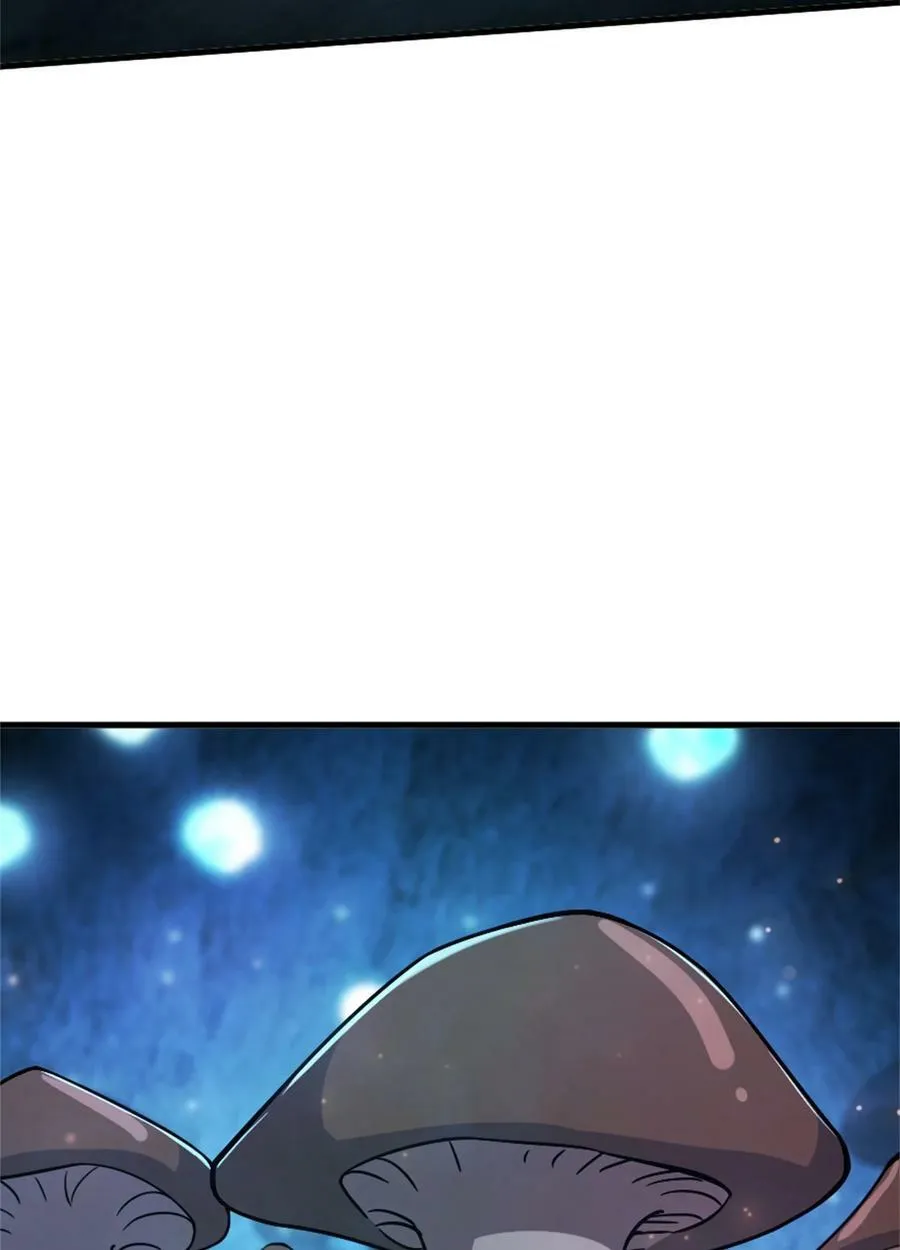 484 新研究新材质20