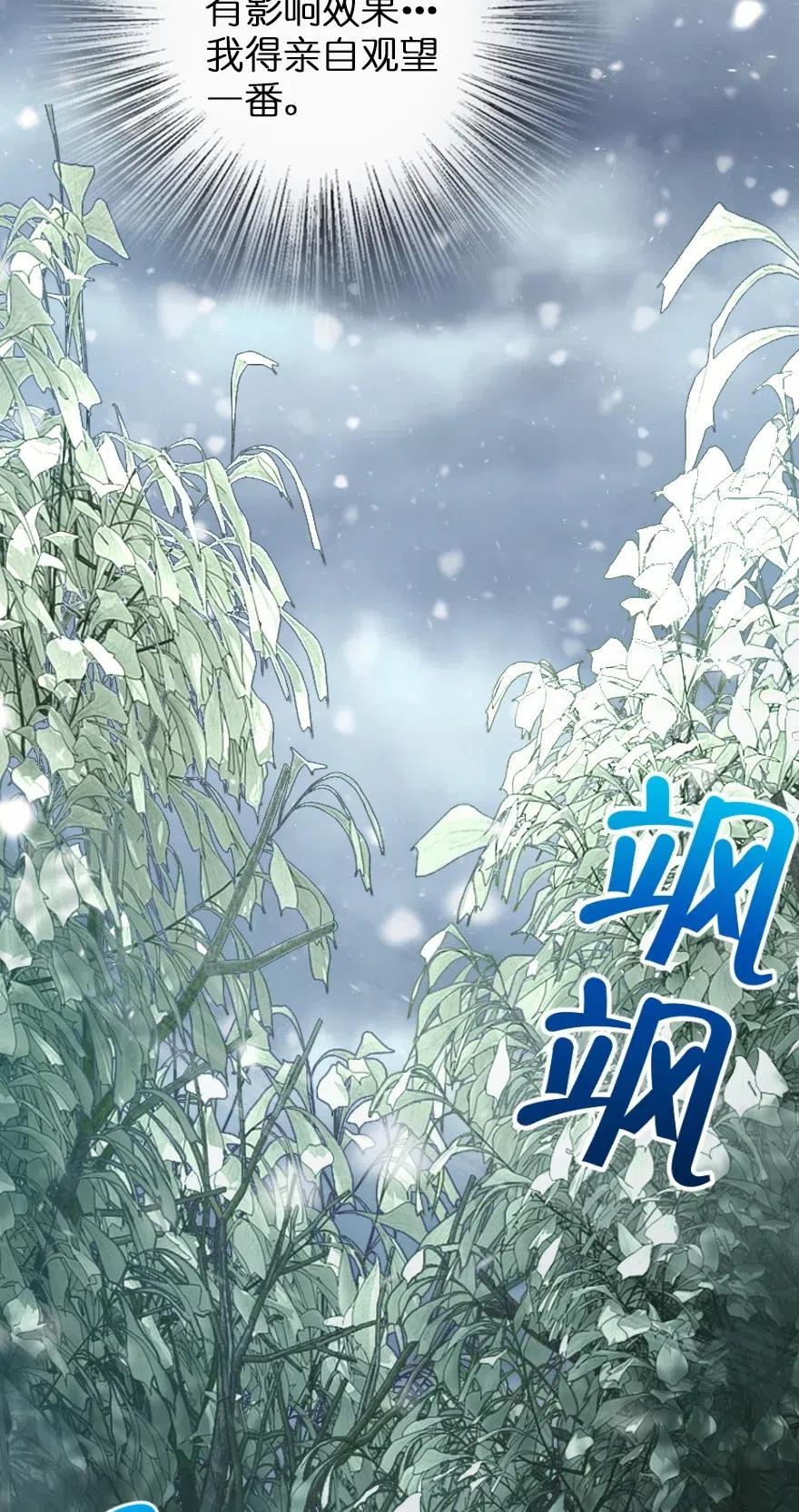 228 森林之心14