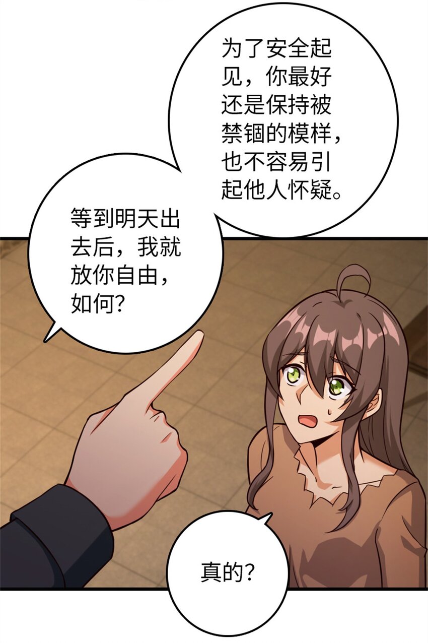366 竞拍46