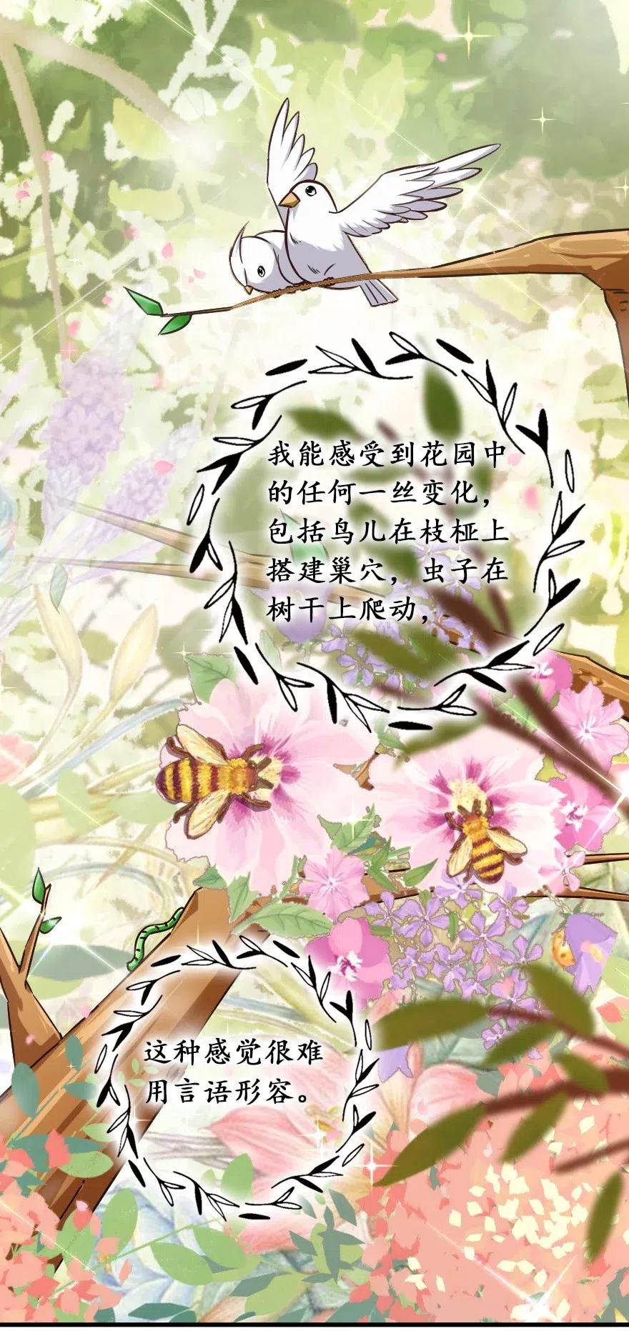 228 森林之心29