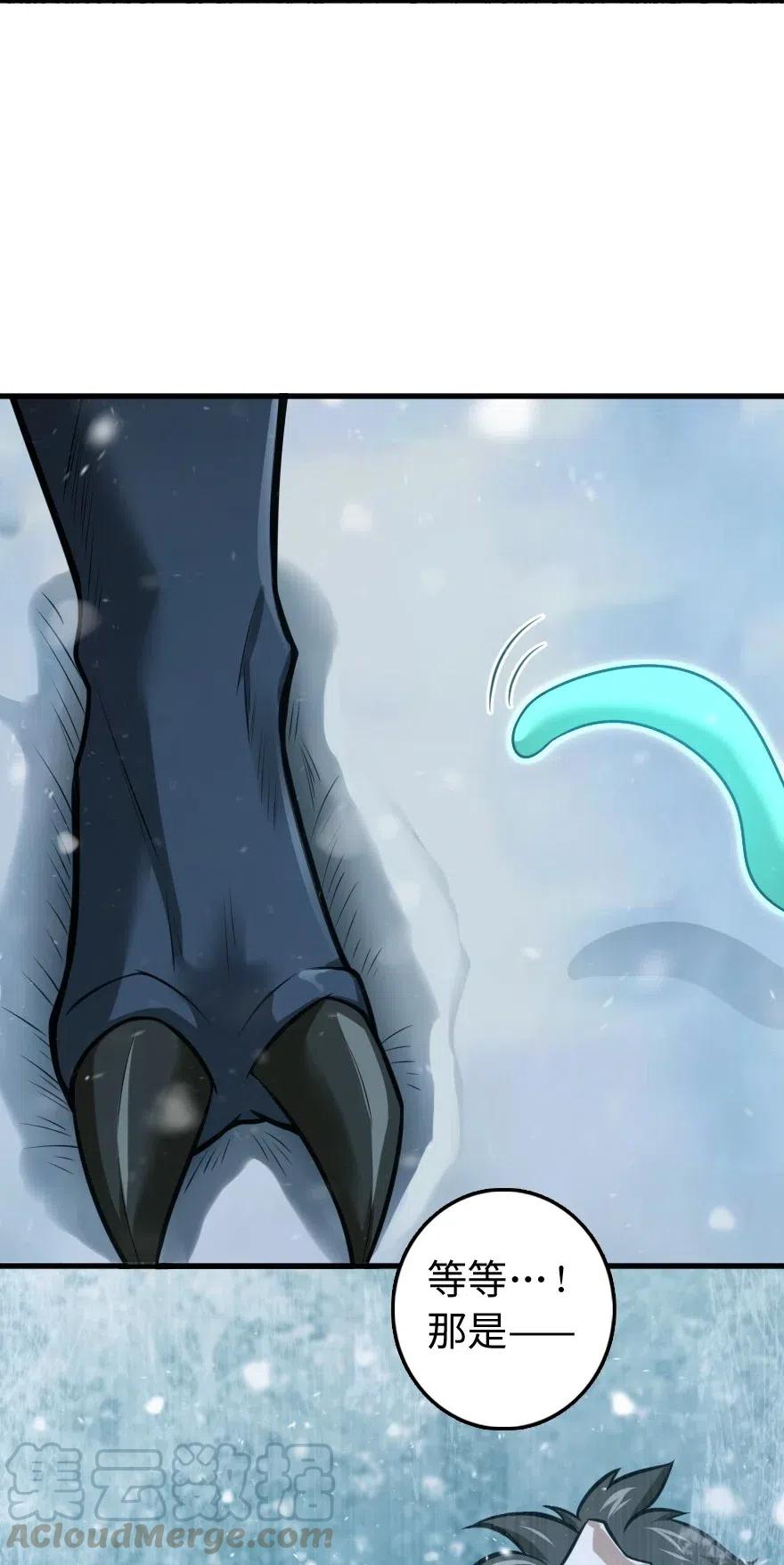 241 雪林深处48