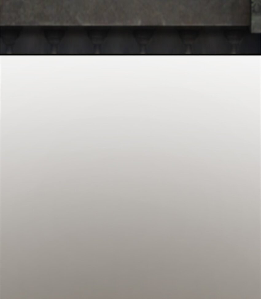 365 神秘展会13