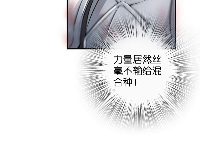 48 赫尔梅斯之战65