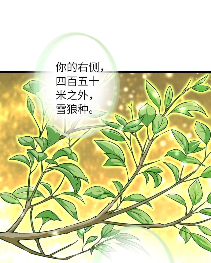405 狩猎大赛49