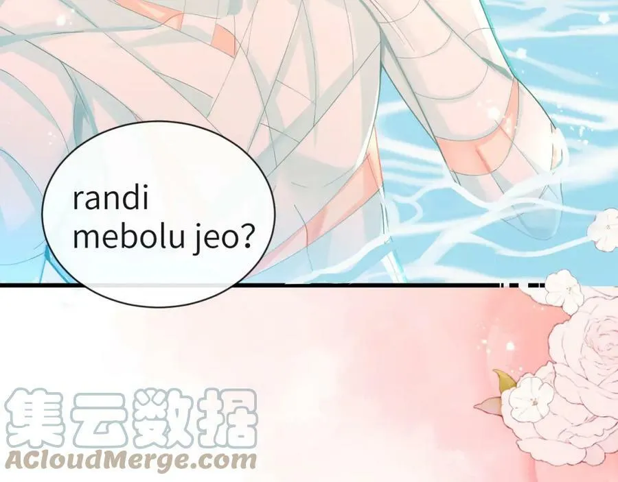 第41话 小猫咪，想我了吗？36