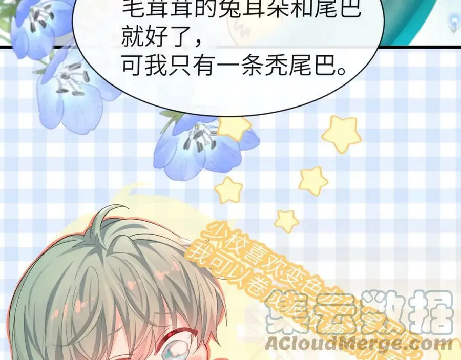 第41话 小猫咪，想我了吗？66
