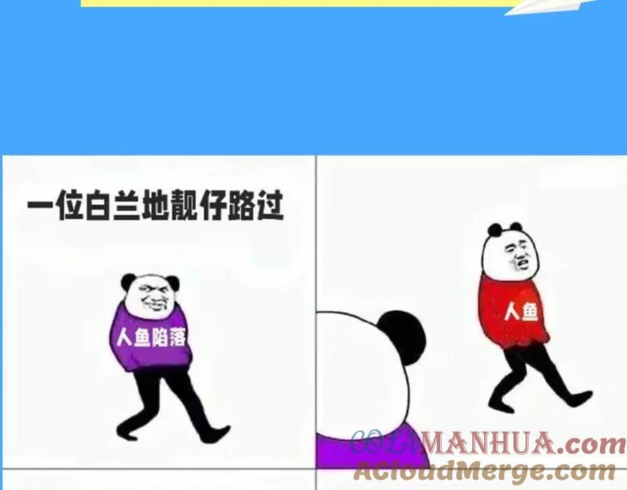 第41期 进来看看烂梗（日更中）2