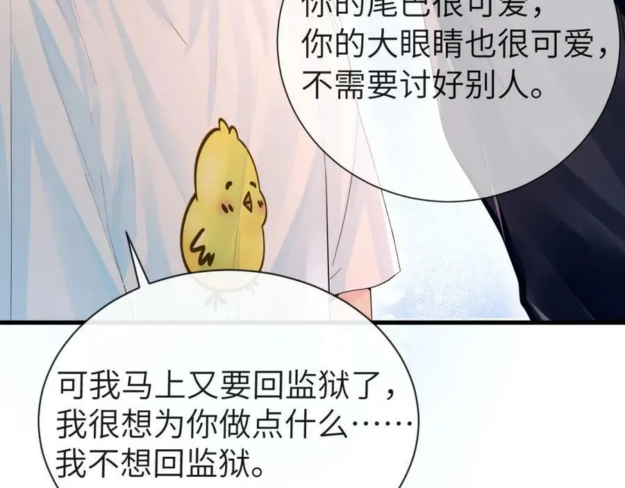 第41话 小猫咪，想我了吗？70