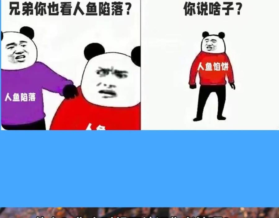 第41期 进来看看烂梗（日更中）3