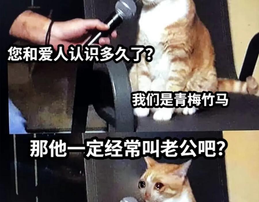 第37期 人鱼主角们开启5G冲浪，烂梗合集（日更中）17