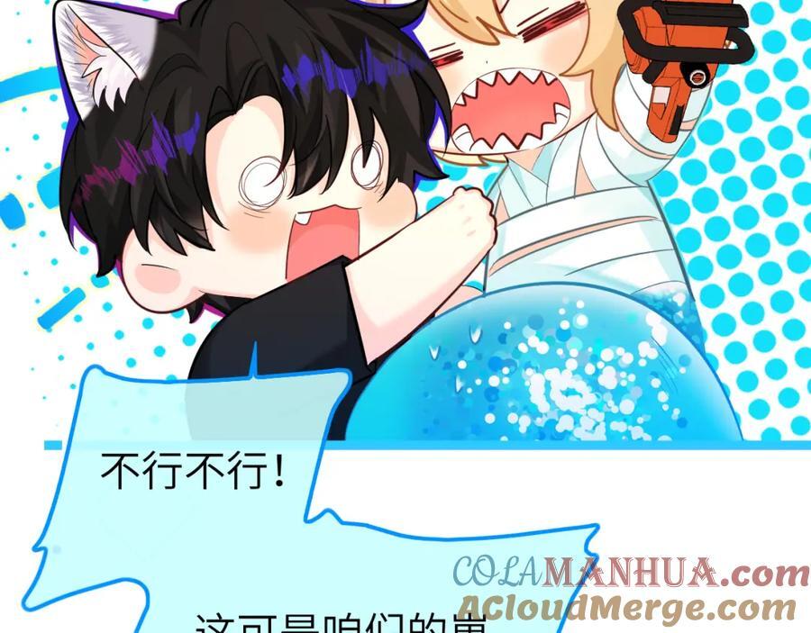 第14期 两个人的带崽日常！（日更中）15