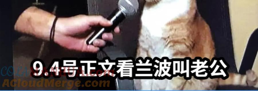 第37期 人鱼主角们开启5G冲浪，烂梗合集（日更中）18
