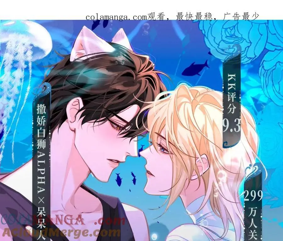 特典季·2月12日 一起围观猫猫头&amp;amp;amp;啵啵鱼的新年！0