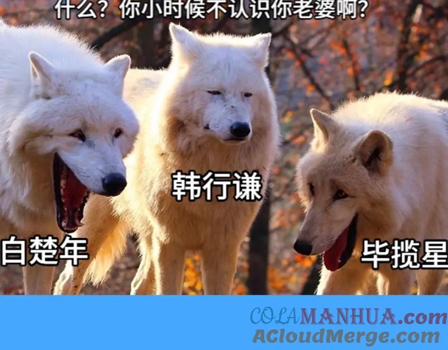 第41期 进来看看烂梗（日更中）4
