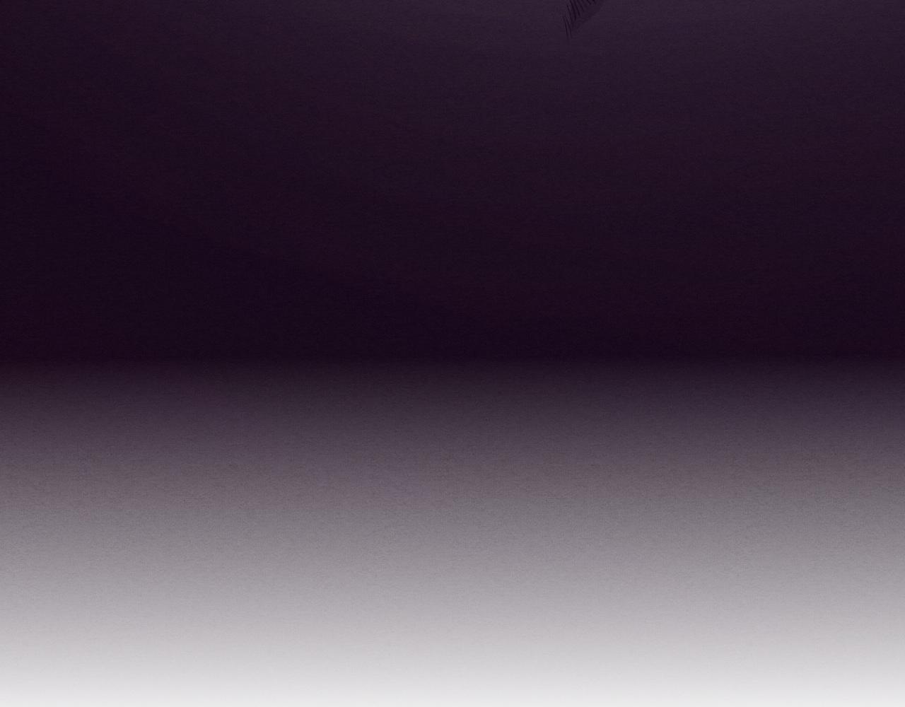 第57话 安雅成功进化5