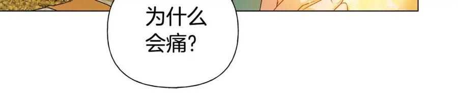 第49话 精灵大变身！44