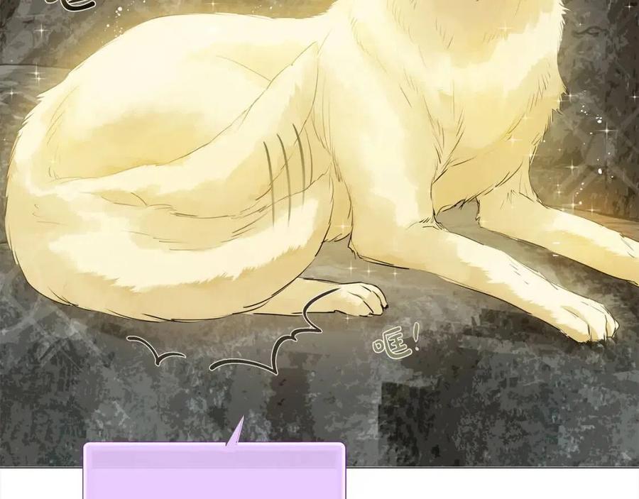 第49话 精灵大变身！161