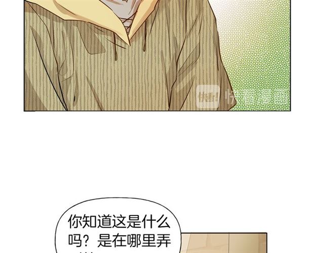 第13话 精灵师阿杜...48