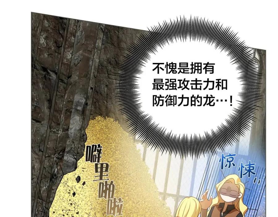 第49话 精灵大变身！45