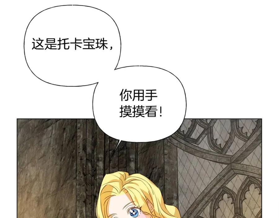 第49话 精灵大变身！67