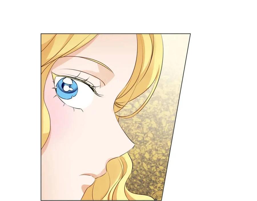 第49话 精灵大变身！28