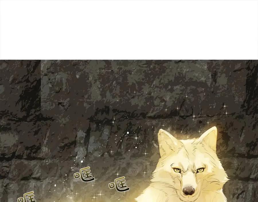 第49话 精灵大变身！160