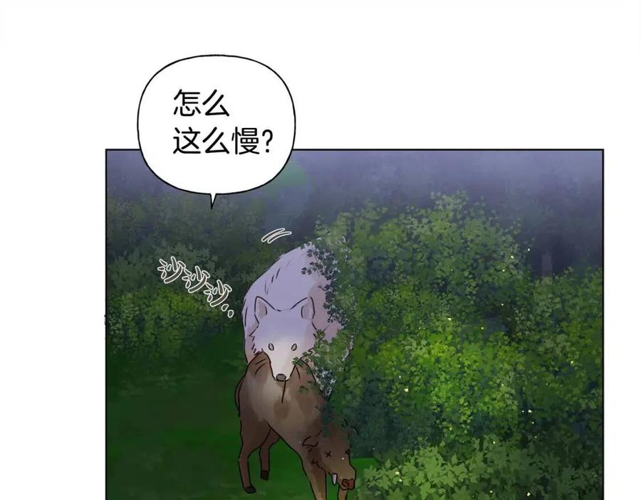 第52话 重逢63