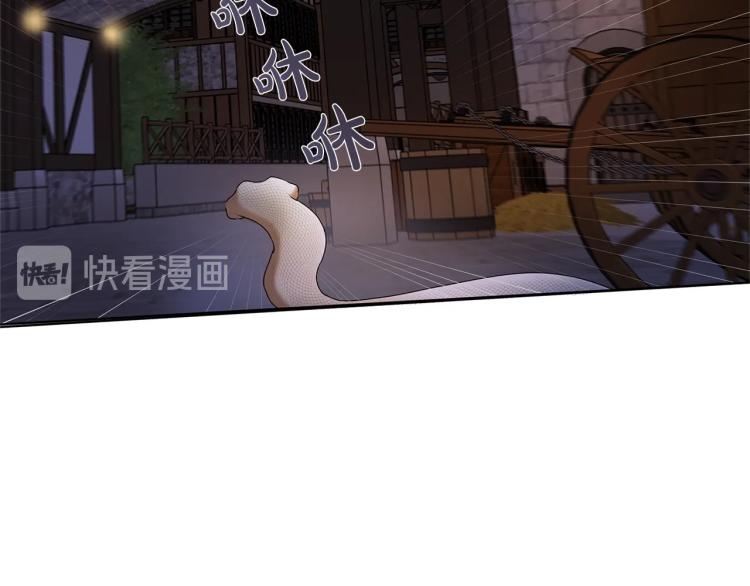第62话 粉丝遍地2