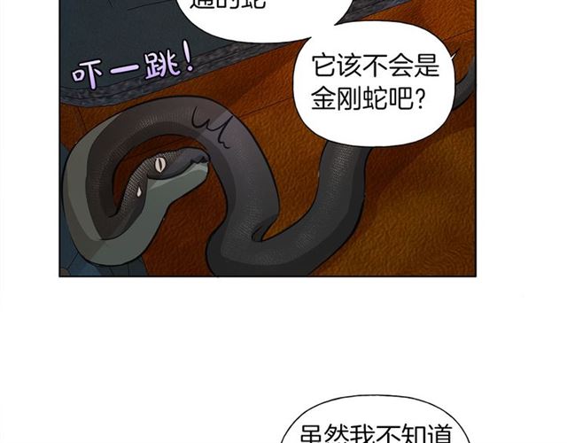 第17话 坑爹的阿杜79