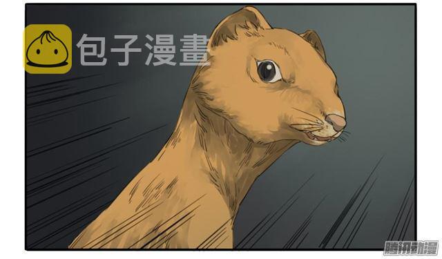 第十八条：见功夫27