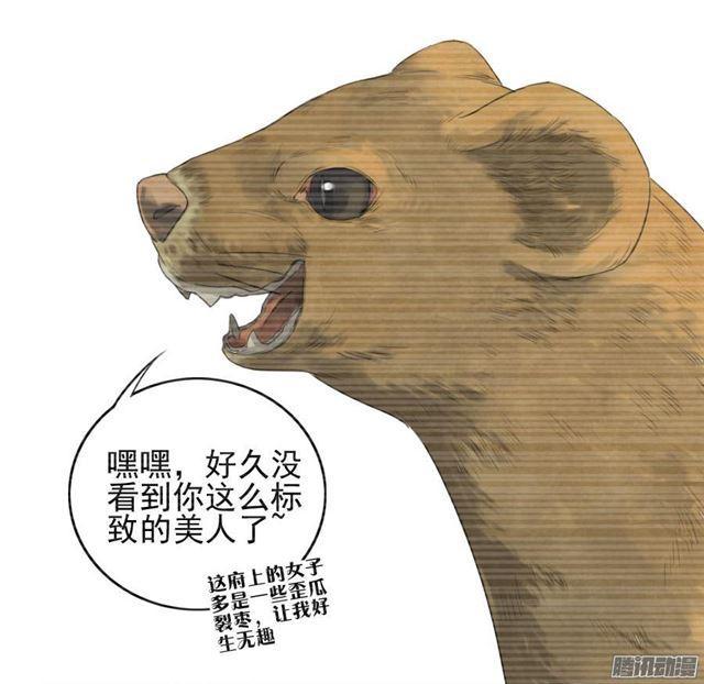 第十七条：守夜11