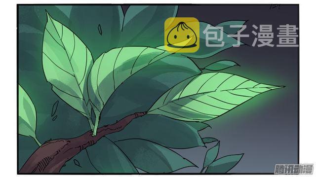 第二十九条：神树5