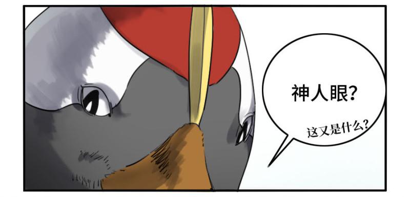 第二卷23一些发现13