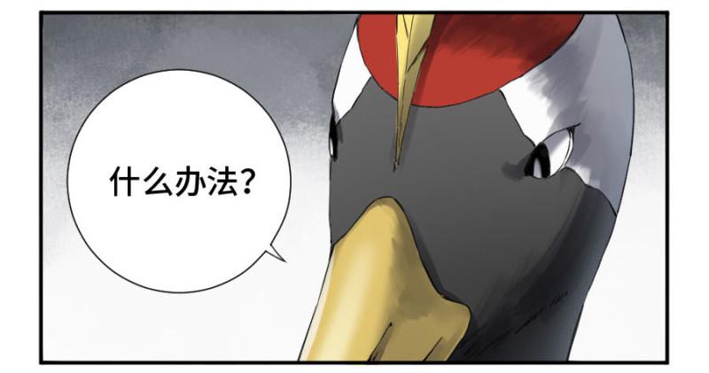 第二卷24召集13