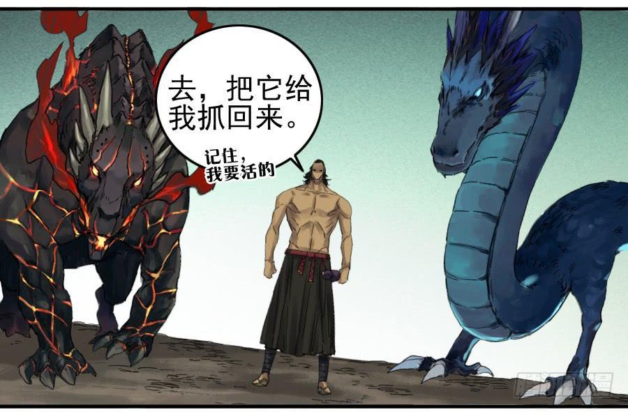 第一百零一条：情报4