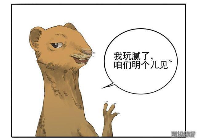 第十八条：见功夫31