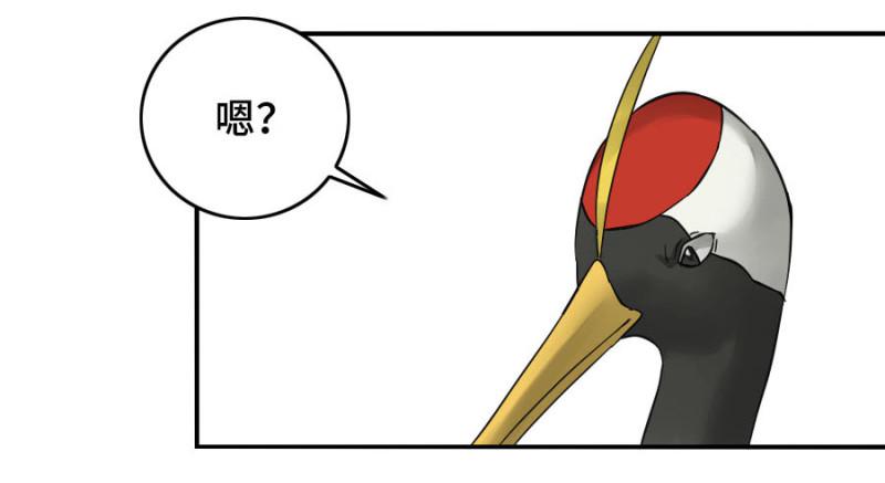 第二卷30洞若观火(加更）1