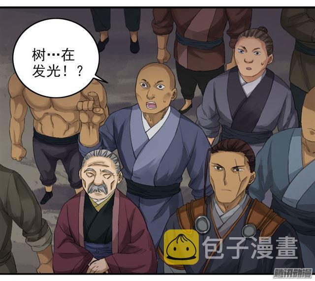 第二十九条：神树8