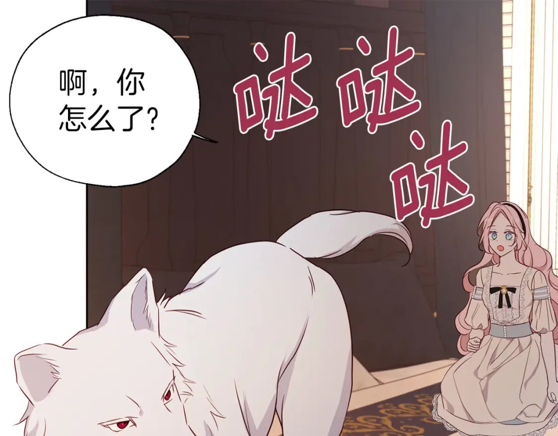 第135话 过度保护129