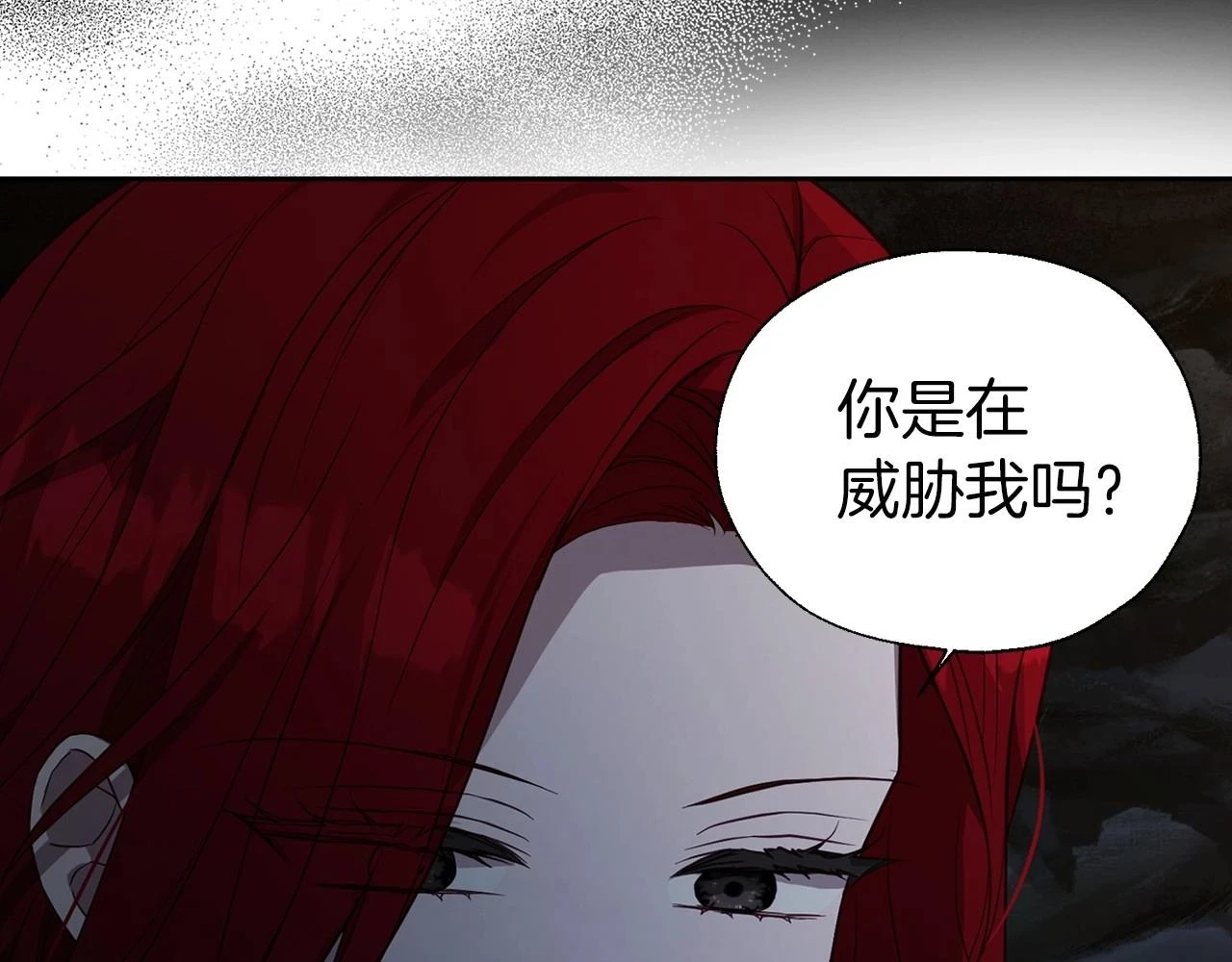 第119话 合作的条件68