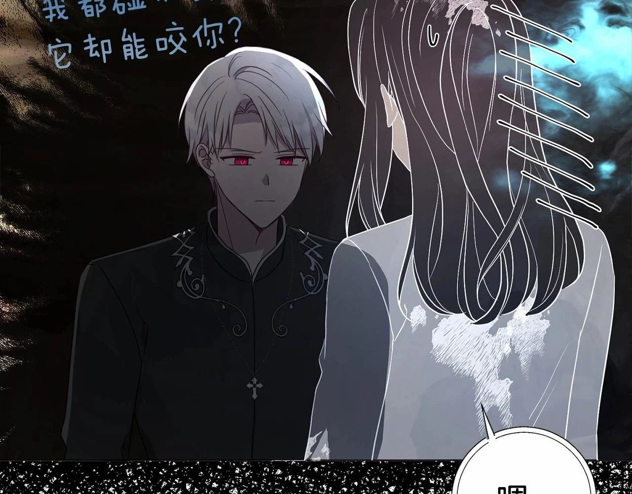 第117话 隐藏的秘密128