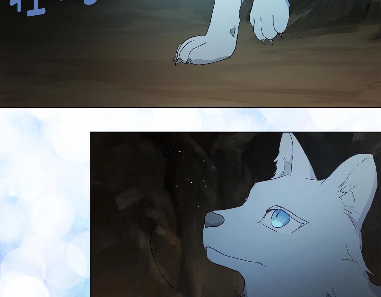 第105话 魔力结界44