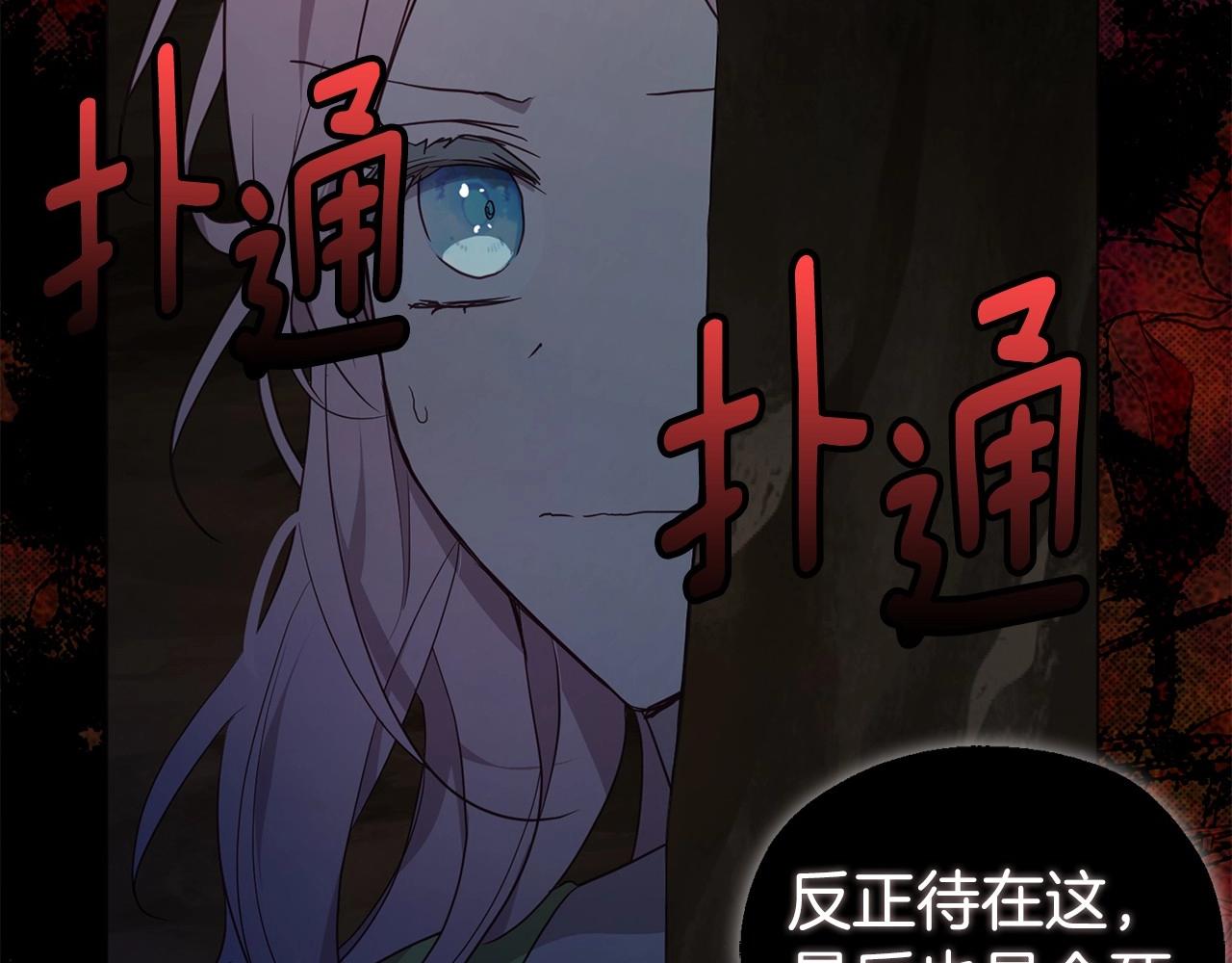 第105话 魔力结界111