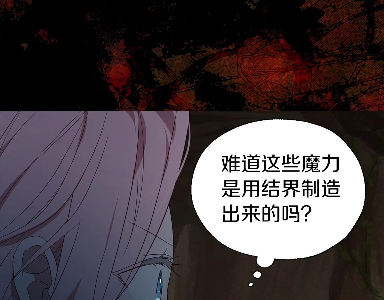 第105话 魔力结界127