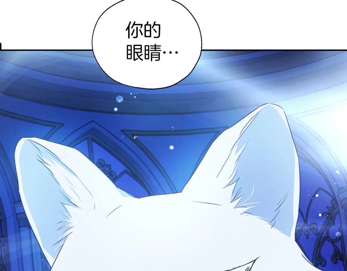 第126话 反向召唤103