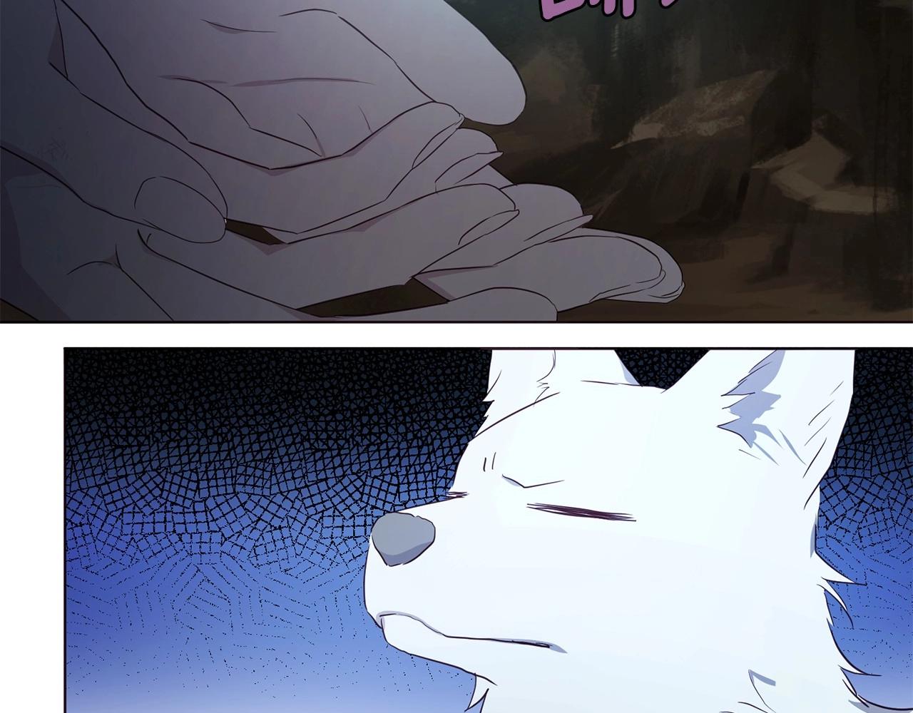 第105话 魔力结界48