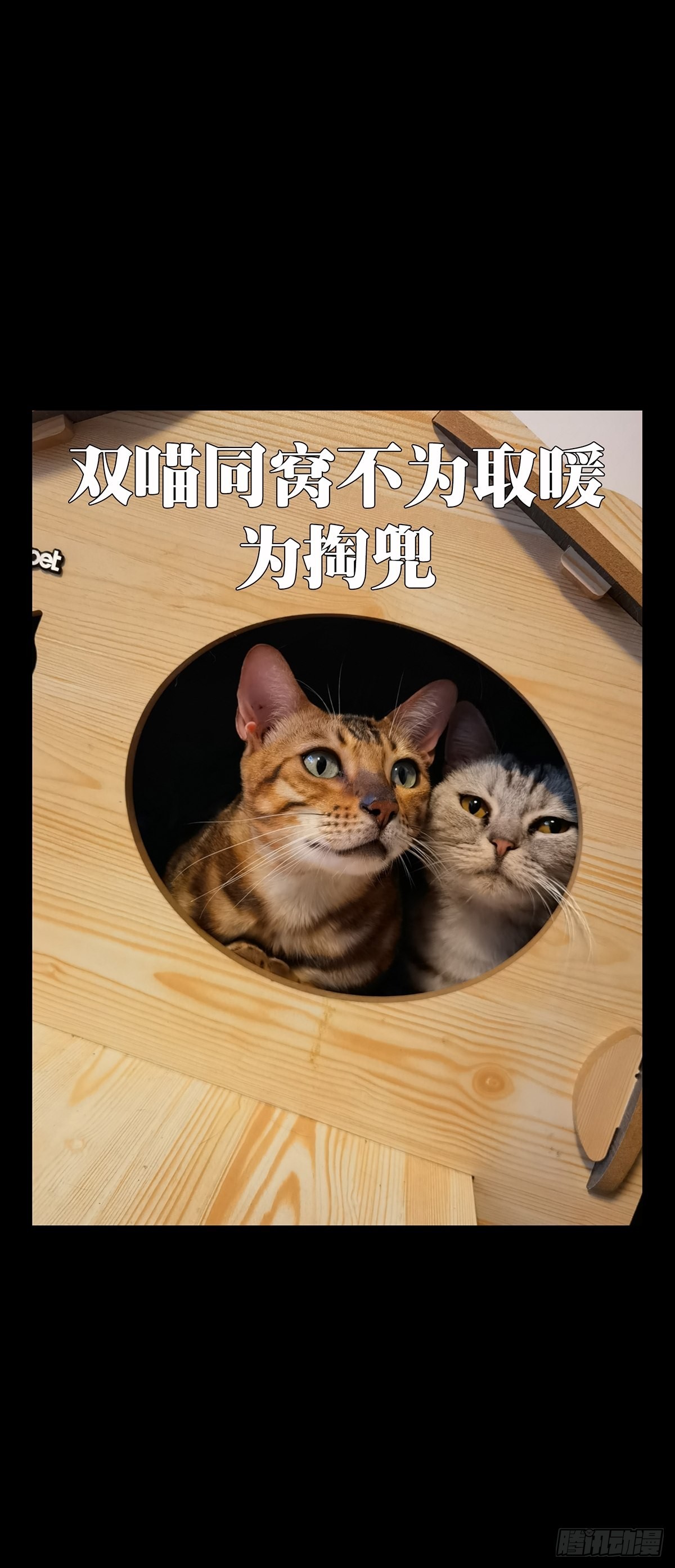 第二百六十章_内鬼中39
