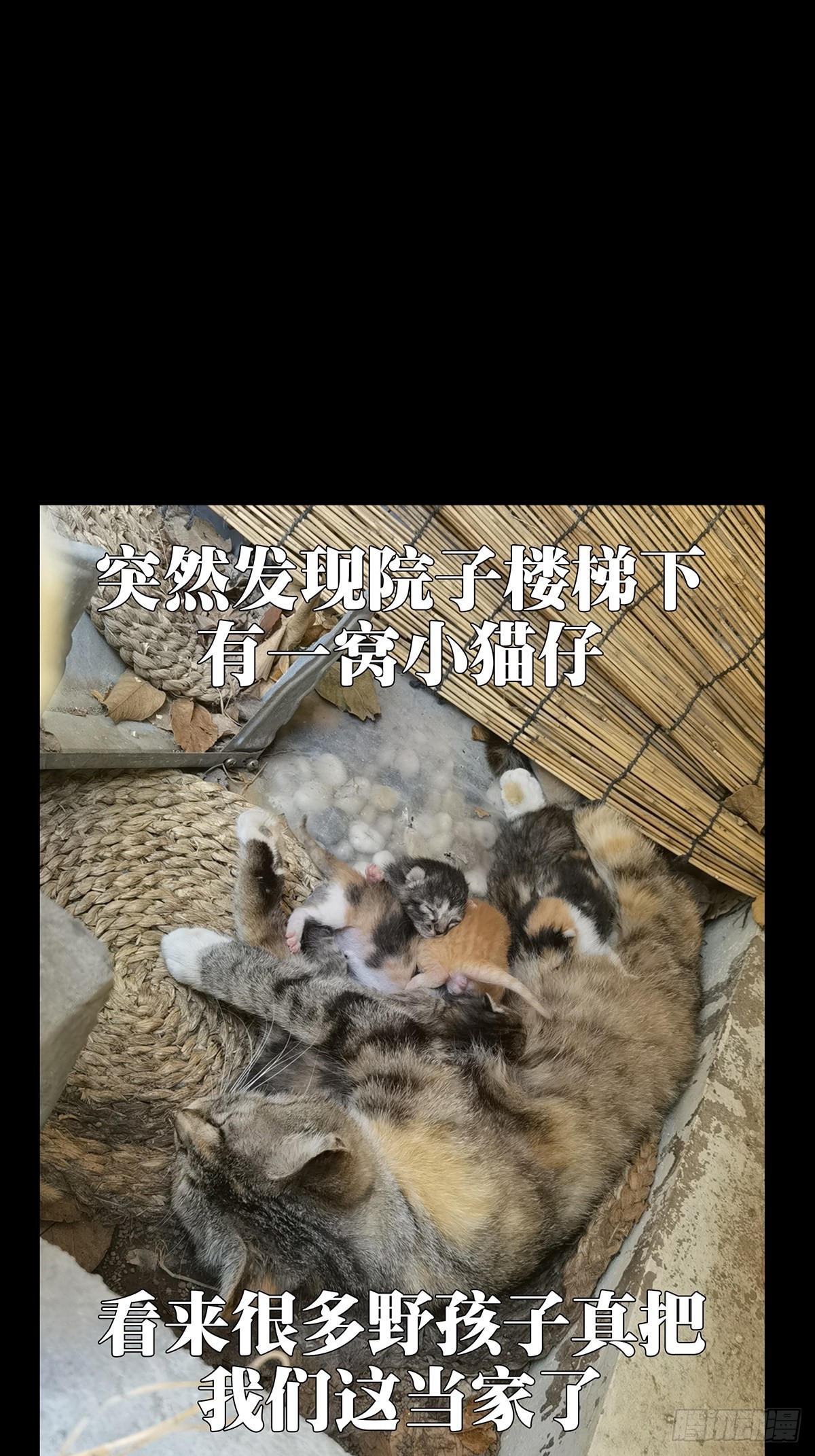 第二百一十六章_新师父中45