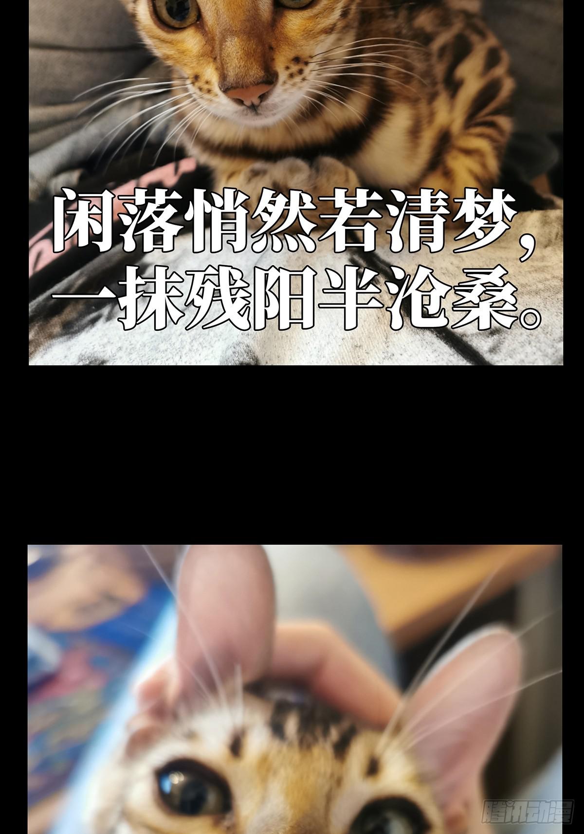 第七十章_至死不渝下37