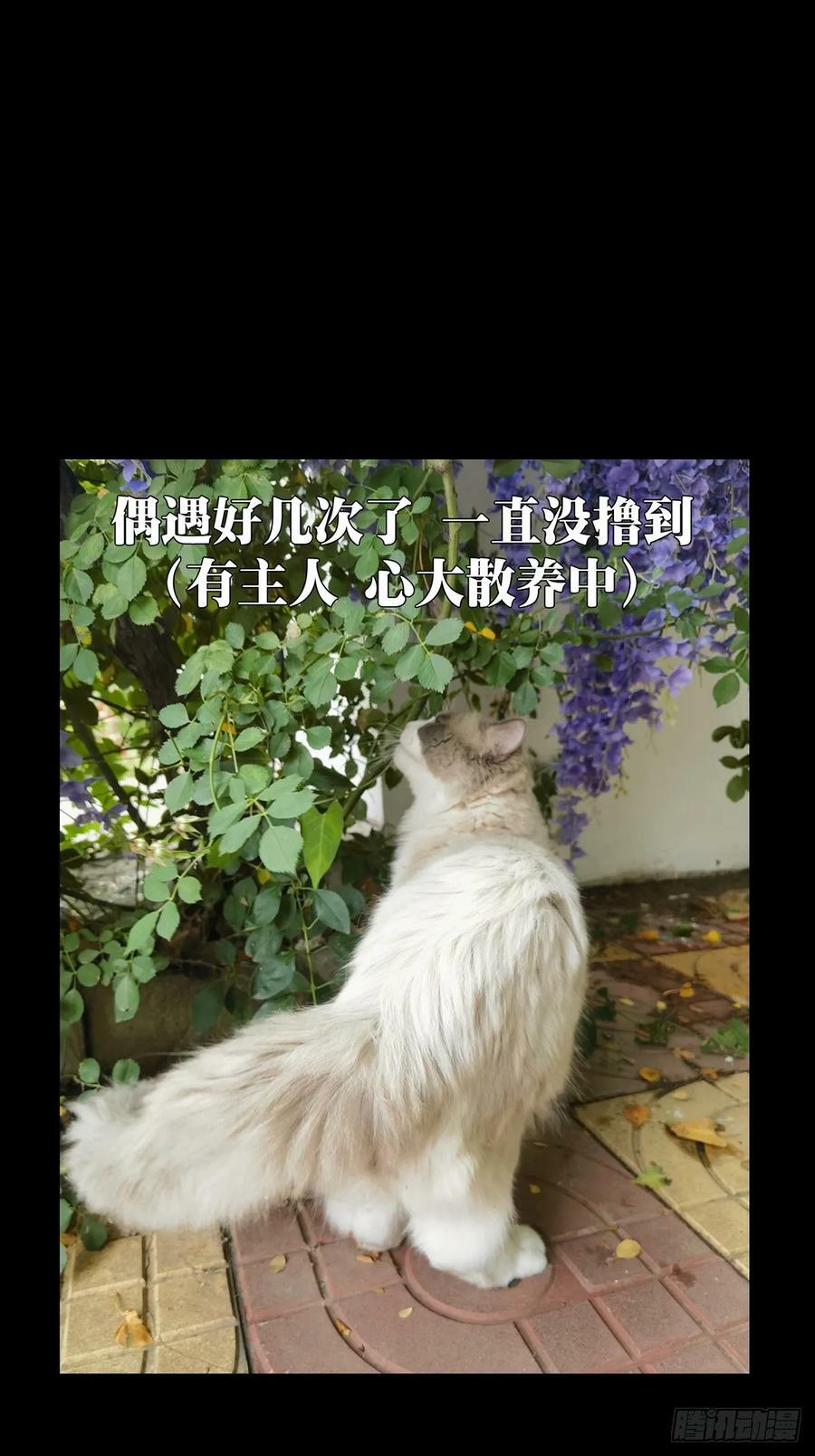 第三百二十五章_活下去中43